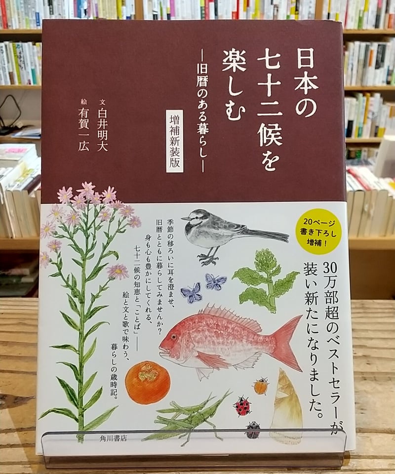 希少 初版31冊(31巻) 帯 当時チラシ多数 ひぐらしのなく頃に 合計34冊 希少 初版31冊(31巻) 帯 当時チラシ多数 ひぐらしのなく頃に
