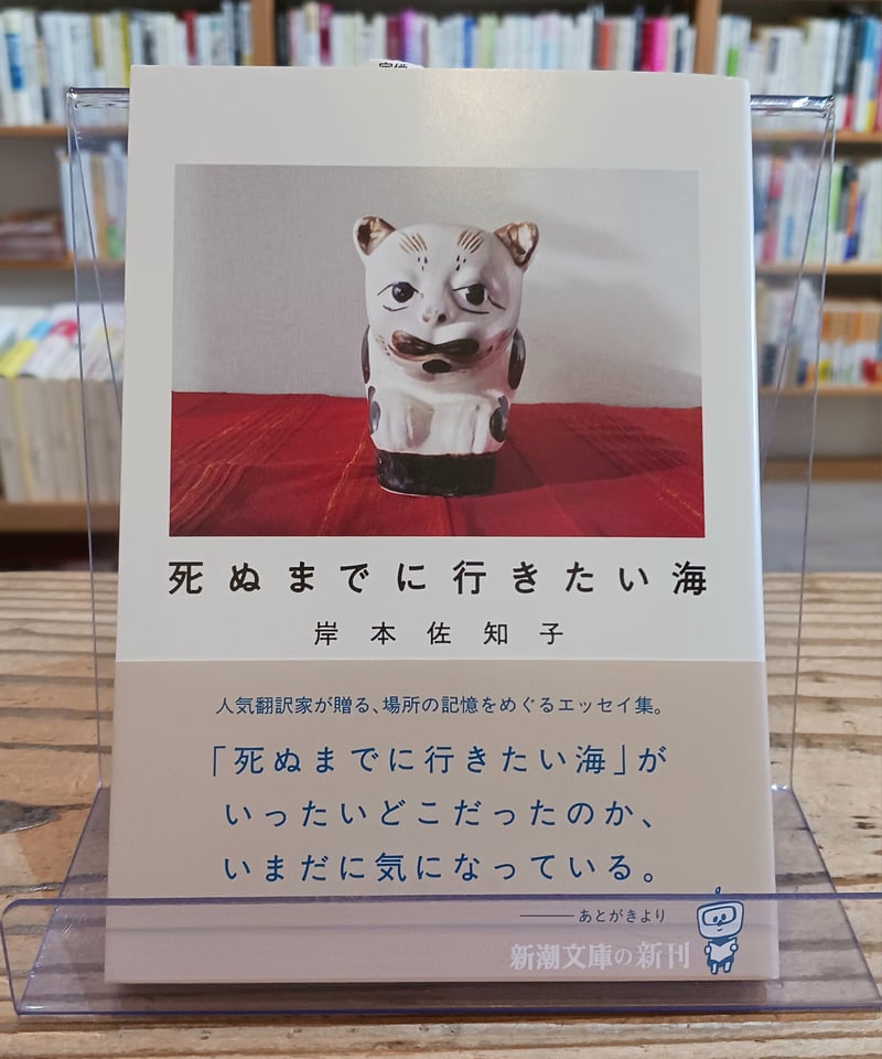 ミステリーゾーン大探検 日本列島ふしぎ地帯をさぐる 豆たぬきの本