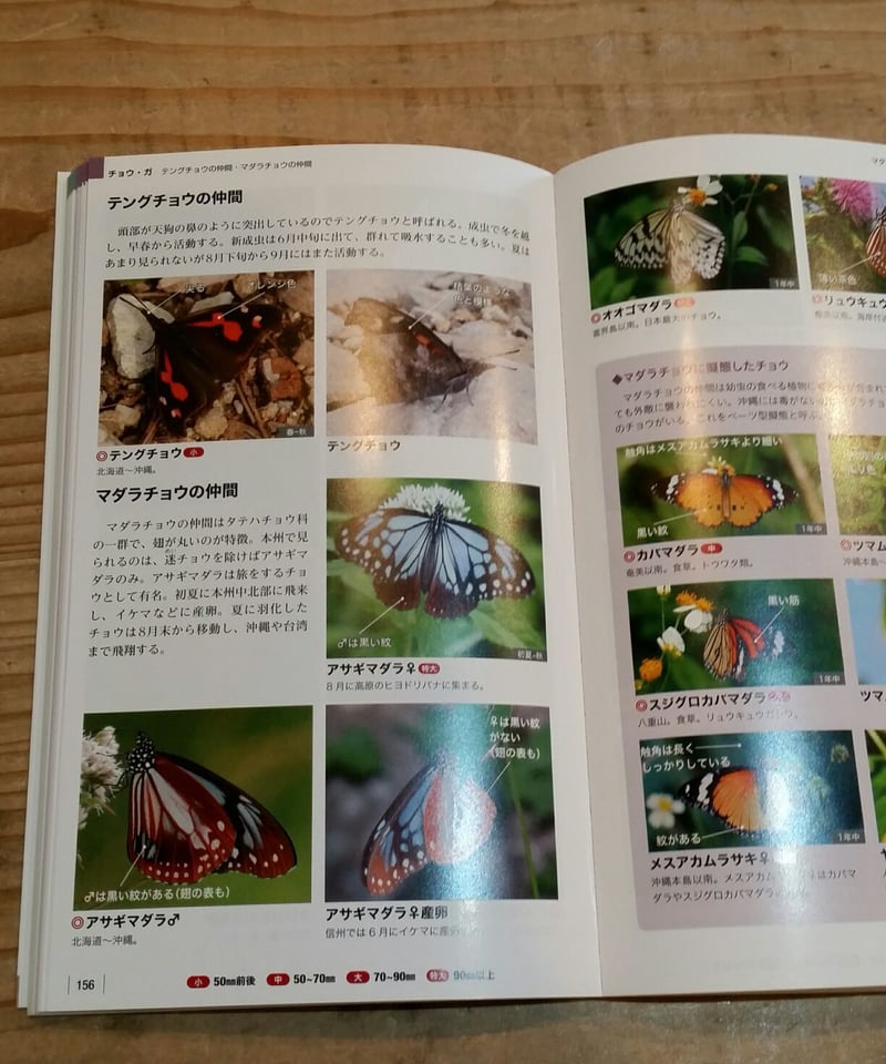 増補改訂新版 身近な昆虫識別図鑑 見わけるポイントがよくわかる