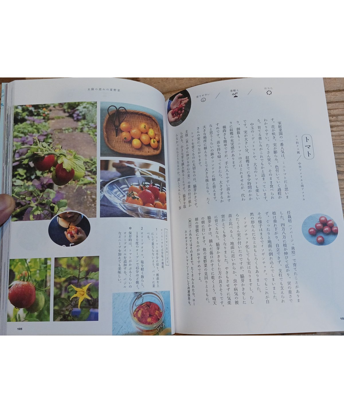 食べられる庭図鑑 | porvenirbookstore's Web Shop