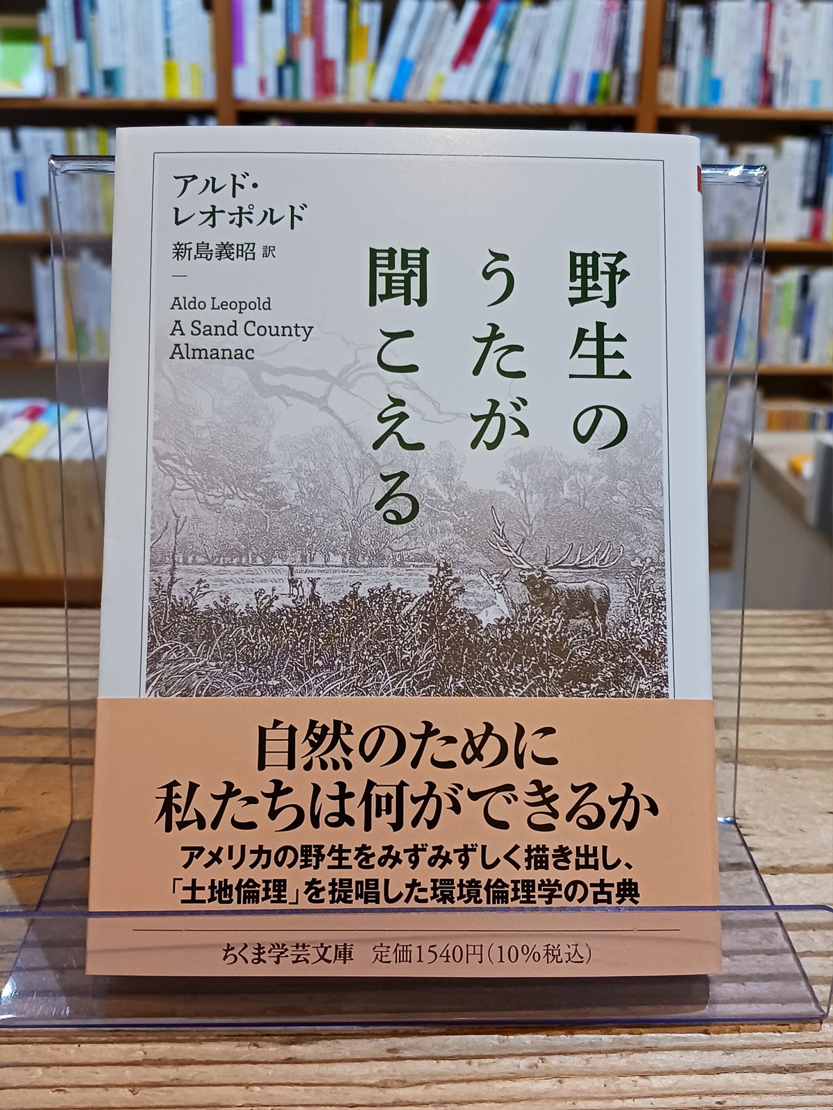 野生のうたが聞こえる( ちくま学芸文庫) | porvenirbookstore's