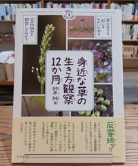 身近な草の生き方観察12か月