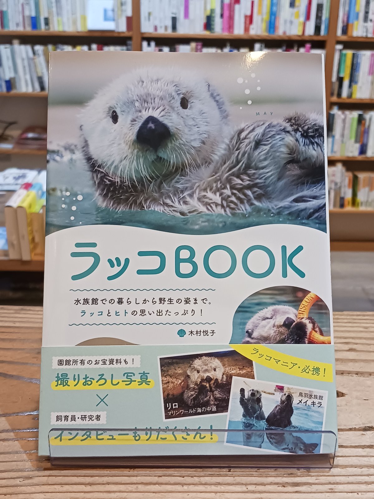 お宝★ラッコメモリアルBOOK★ お宝☆ラッコメモリアルBOOK☆ Amazon.co.jp: 鳥羽水族館 ラッコ