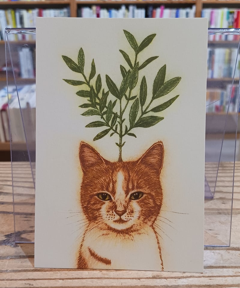 新「アイーダ」ポストカードセット（2枚セット