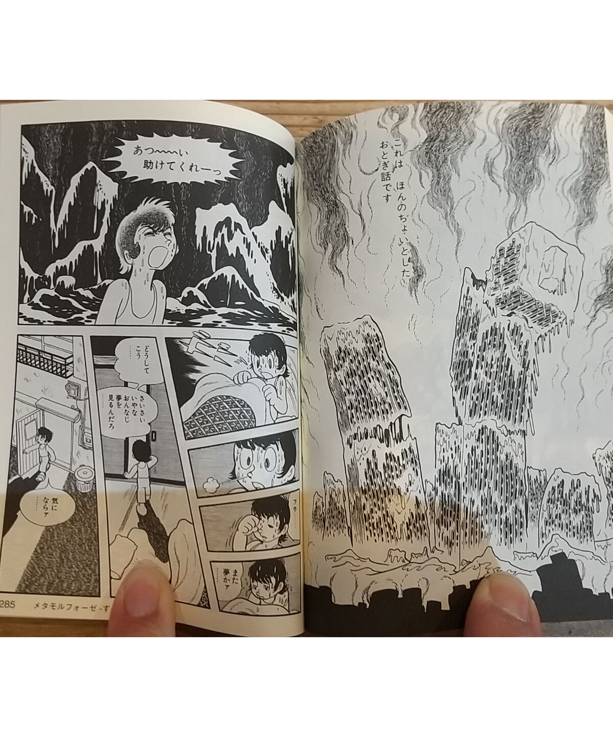 手塚治虫の怪(ヤマケイ文庫) | porvenirbookstore's Web Shop