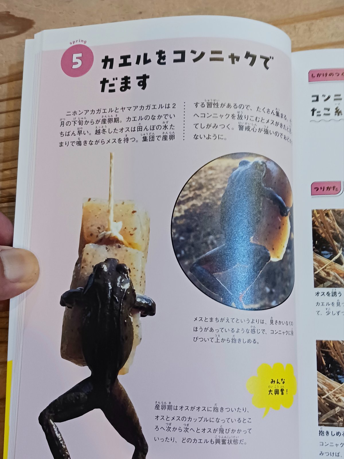 大人も子どもも楽しい あたらしい自然あそび | porvenirbookstore's Web