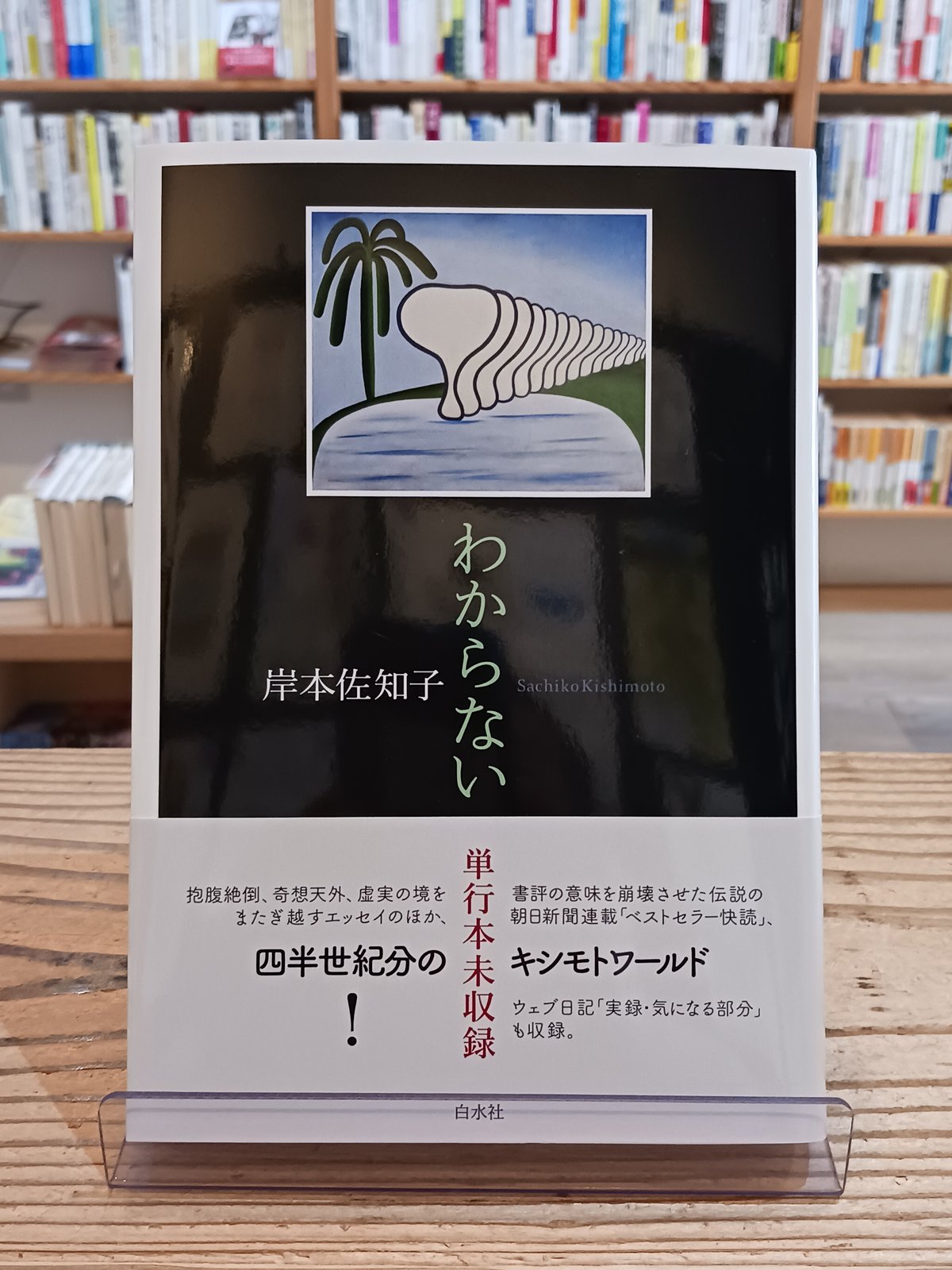 わからない | porvenirbookstore's Web Shop