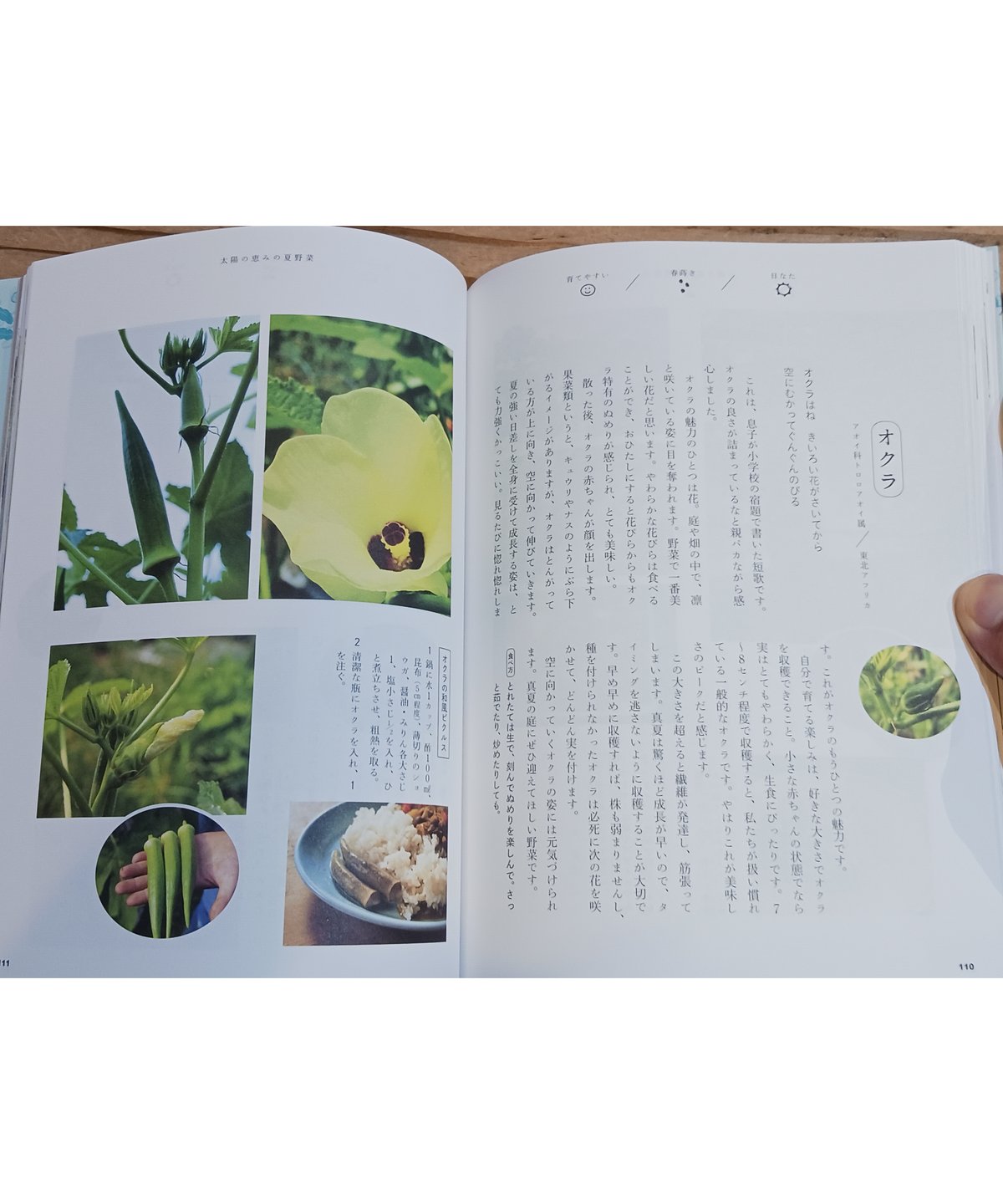 食べられる庭図鑑 | porvenirbookstore's Web Shop