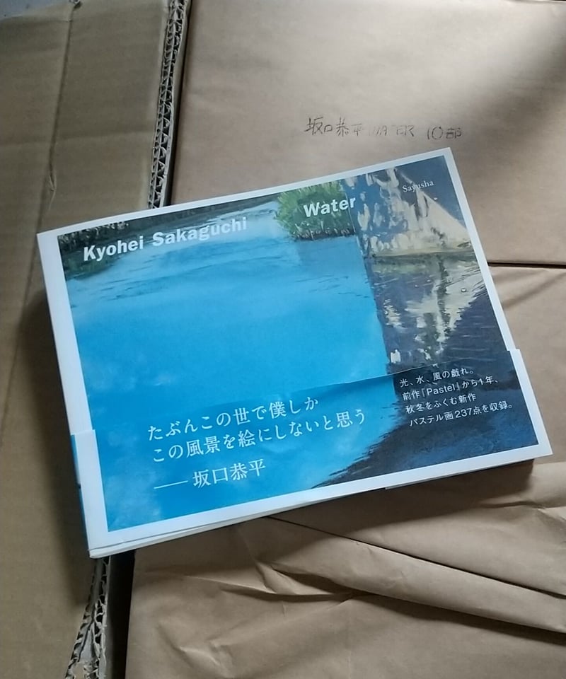 特製ポストカード付】坂口恭平パステル画集第二弾『Water』【通常版