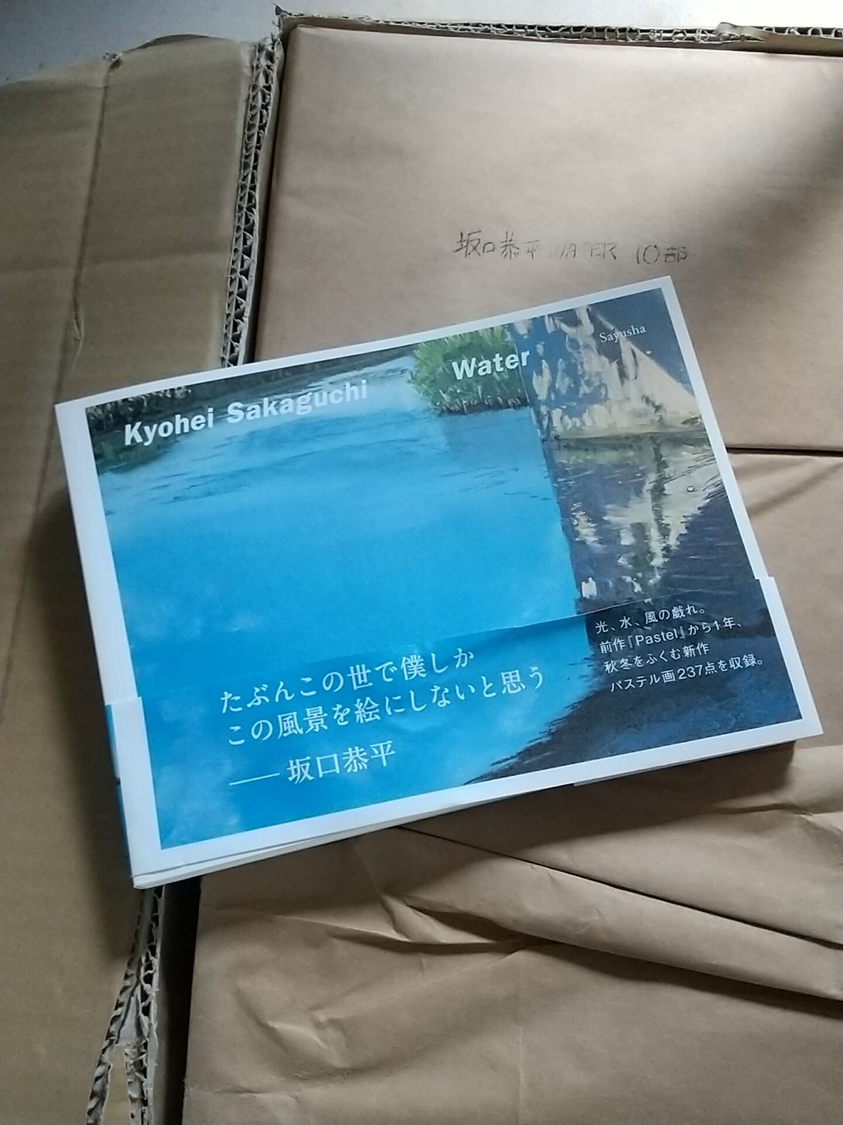 特製ポストカード付】坂口恭平パステル画集第二弾『Water