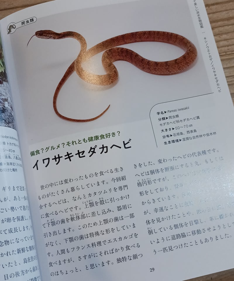 たくましくて美しい 淡水生物図鑑 | porvenirbookstore's Web Shop