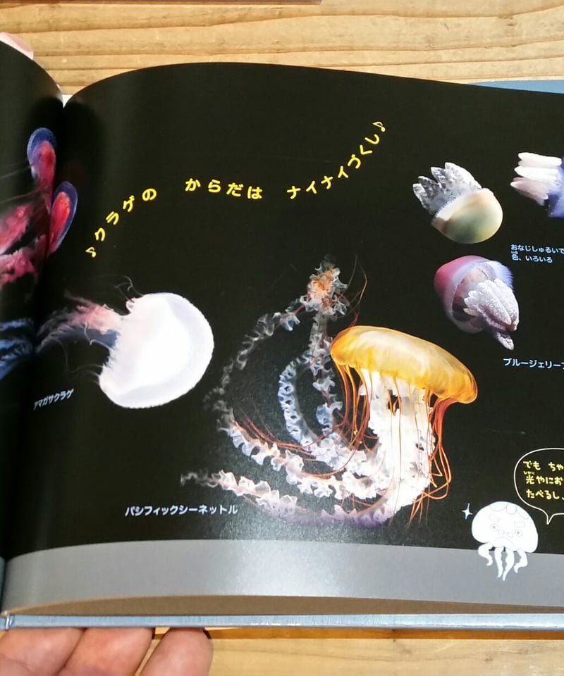 クラゲすいぞくかん クラゲかんちょーのクラゲじまん