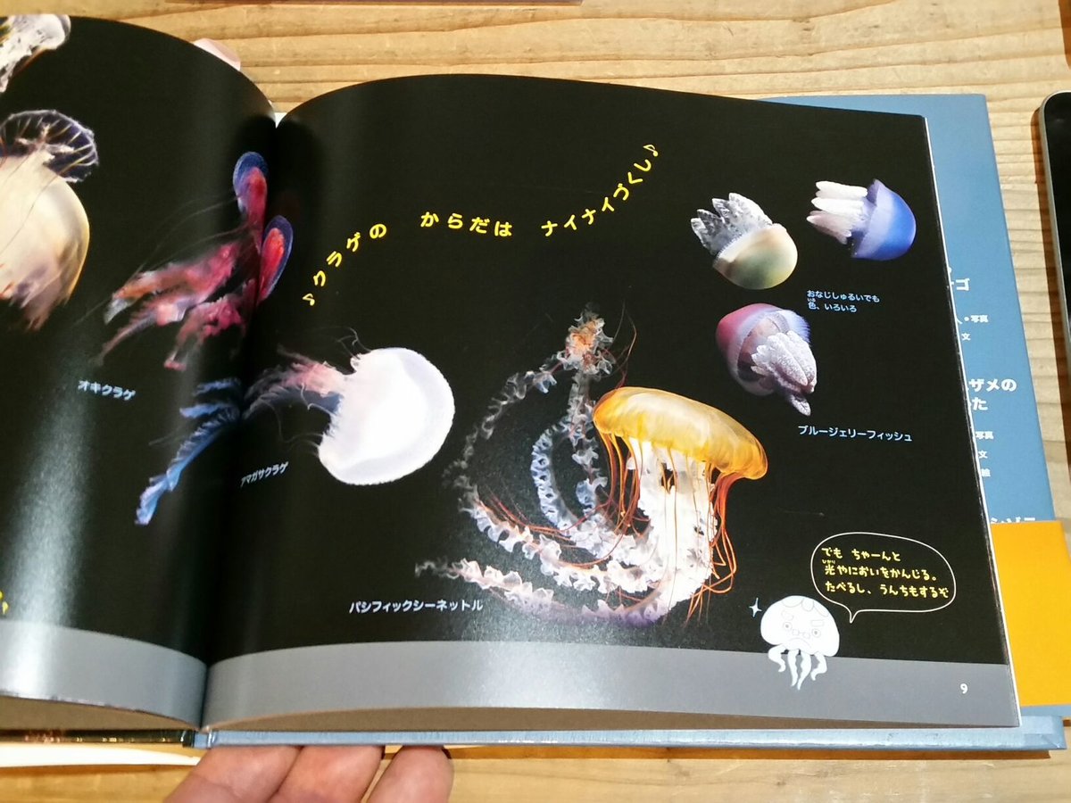 クラゲすいぞくかん クラゲかんちょーのクラゲじまん