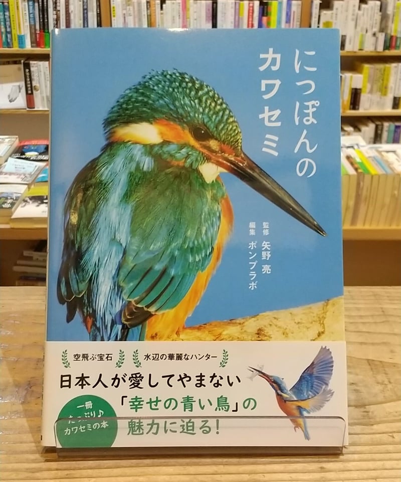 fit=cover,w=800,h=960