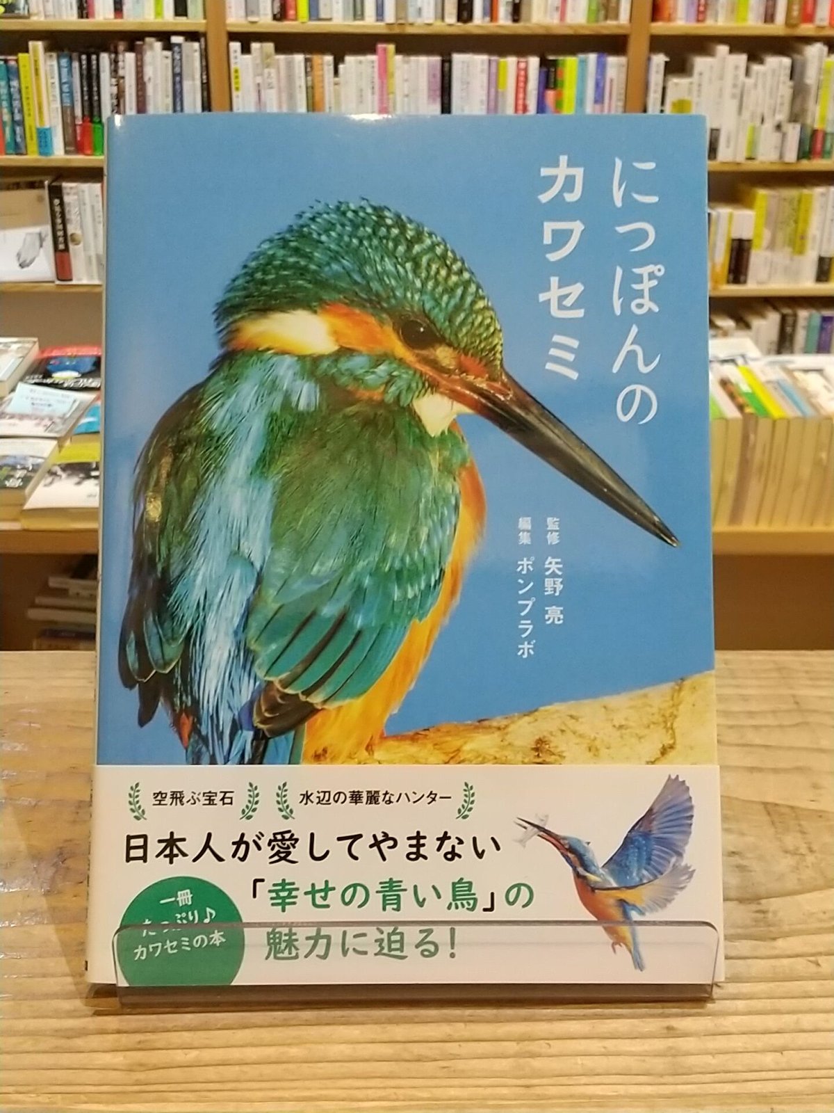 にっぽんのカワセミ | porvenirbookstore's Web Shop