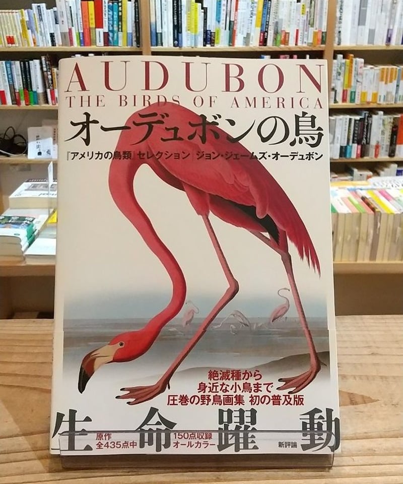 オーデュボンの鳥 『アメリカの鳥類』セレクション