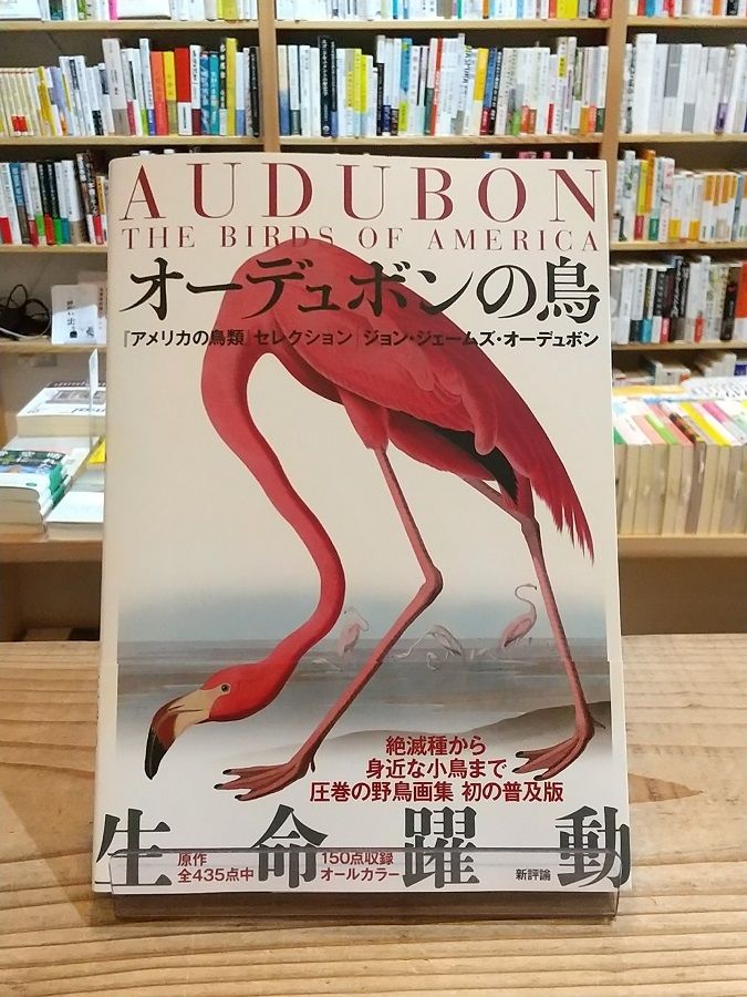 オーデュボンの鳥 『アメリカの鳥類』セレクション オーデュボンの鳥 『アメリカの鳥類』セレクション