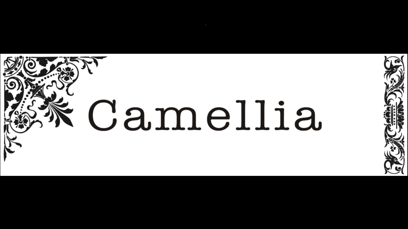 Camellia