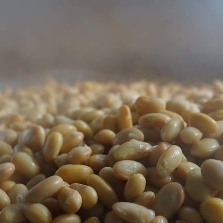 米みそ自然　近成　自然栽培×天然麹菌(野生麹菌)　1kg袋入り　数量限定