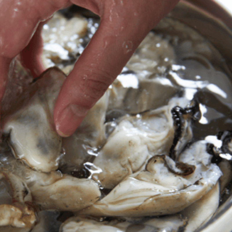 美浄生牡蠣 殻付き7個＋White Monday | 国産クラフト生マッコリ