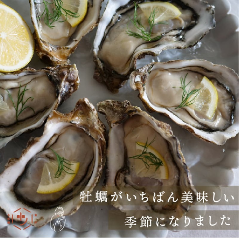 美浄生牡蠣 殻付き7個＋White Monday | 国産クラフト生マッコリ