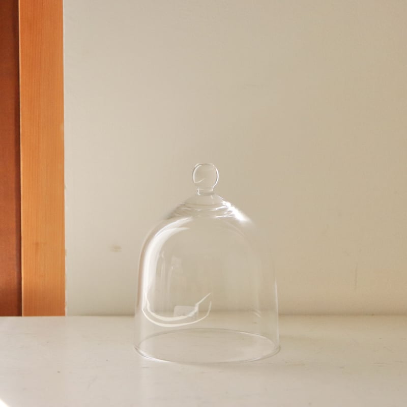 塚崎愛 津村里佳 ガラスドーム ジュエリーベース