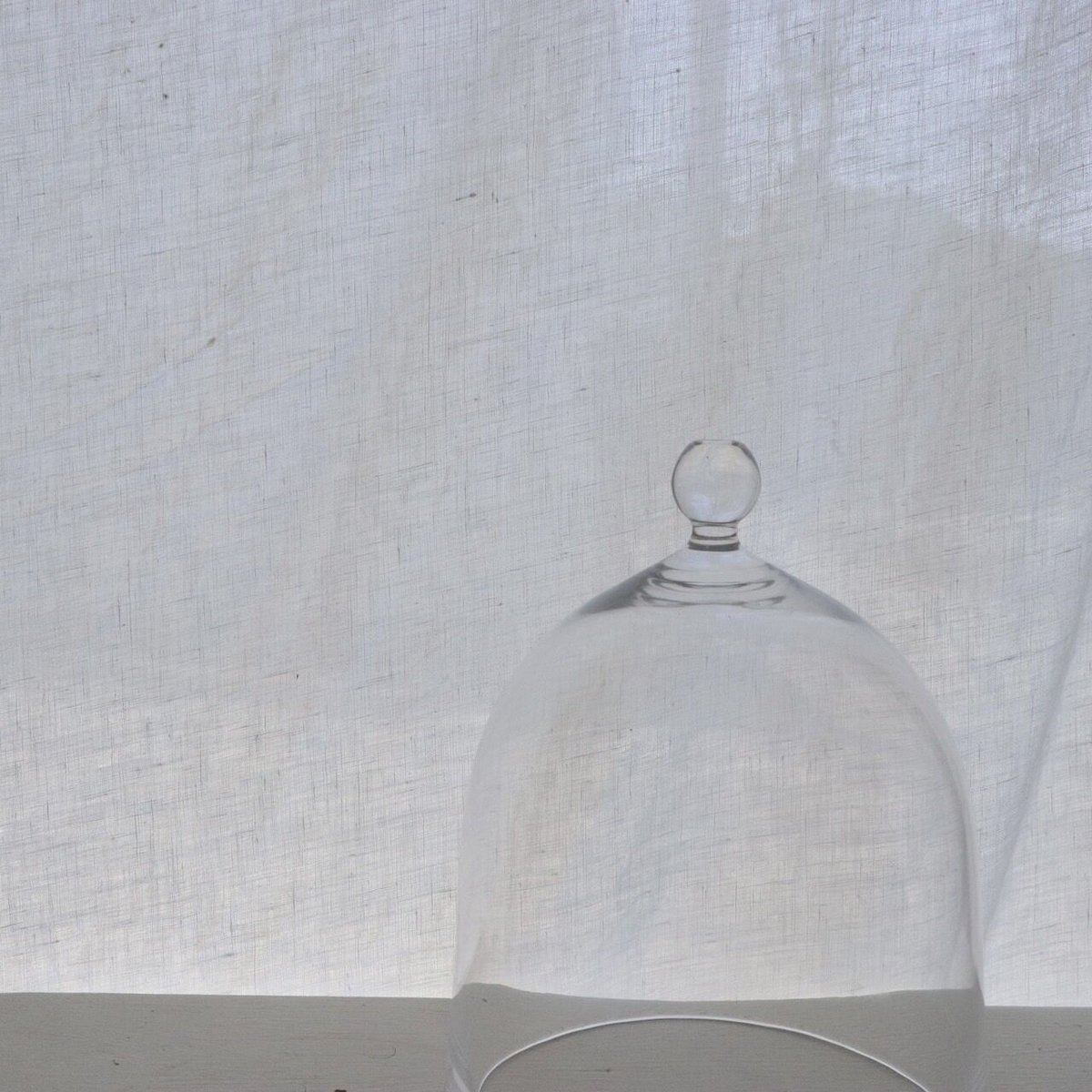 新品 津村里佳 1番大きいガラスドーム 【公式通販】