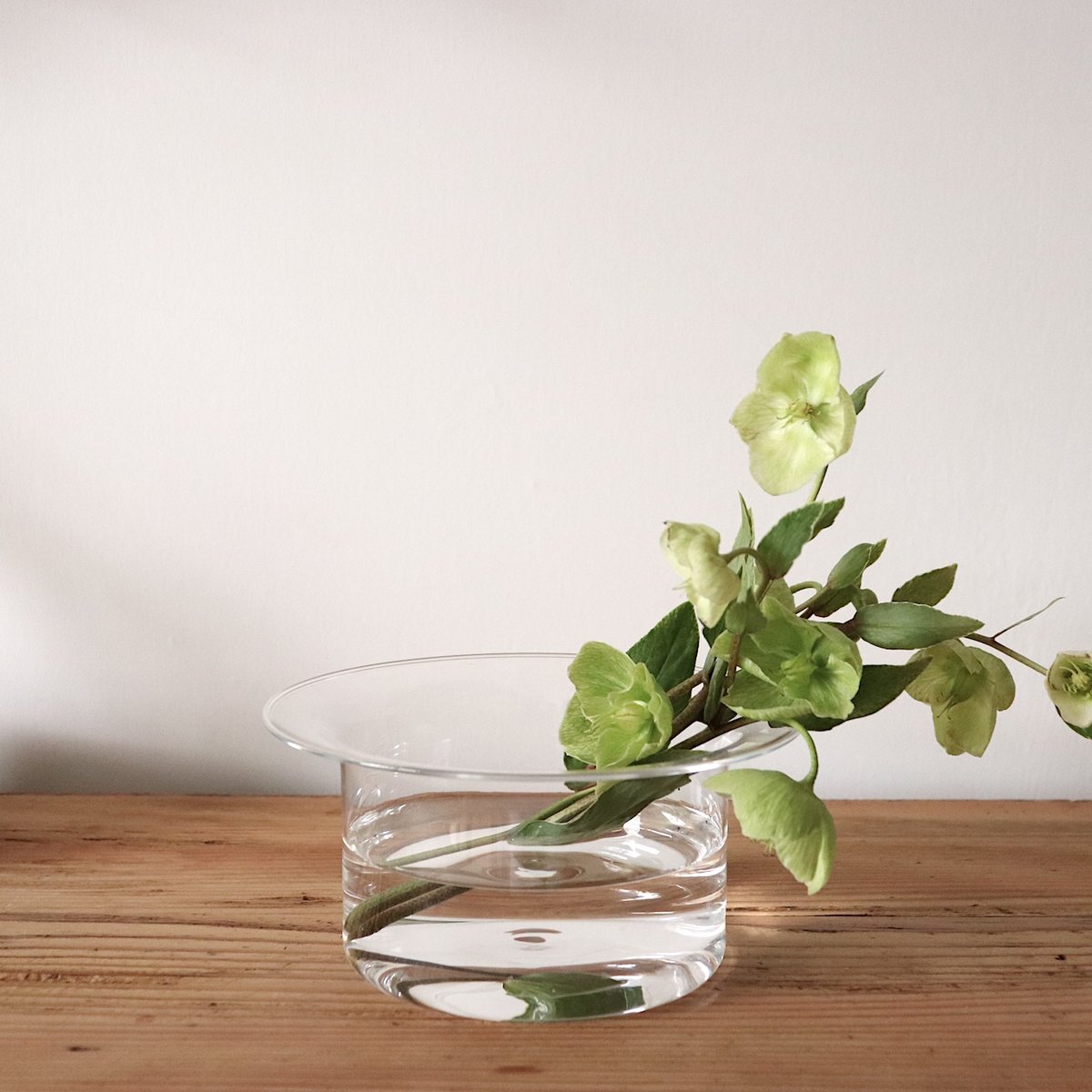 津村里佳　ハナドキ　クリア　M2 ハナドキ M2 -clear | doinel / ドワネル