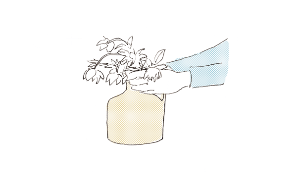 なずなページ adidas Originals ZX8000 atmos G-SNK 11 Hydra JS4601 | eBay