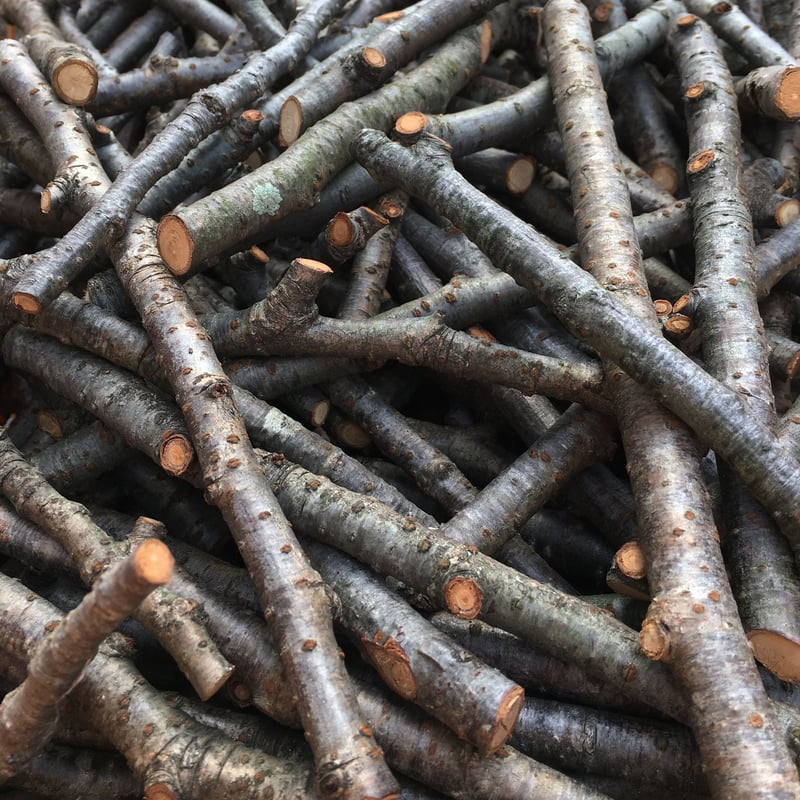 薪ストーブなどの焚き付け用 小枝 (桜) 約20㎝ 6㎏ (約400本) | kiko