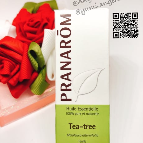 Chelsea様　プラナロム ローズオットー、オレンジスイート、真正ラベンダー ジ・オルブライトン・ランブラー裸苗 - The Albrighton Rambler