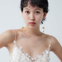 accessory 2