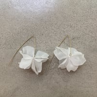 accessory 14