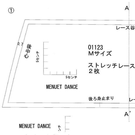 【型紙】ストレッチレースのタンガショーツ　Mサイズ