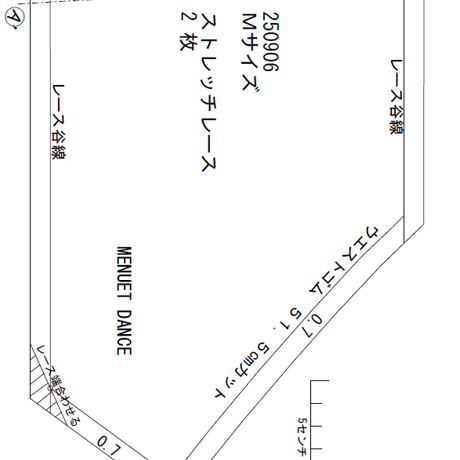 【型紙】 配色ストレッチレースのショーツ Mサイズ【動画あり】