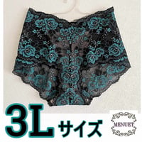 【型紙】ストレッチレースのショーツ 3Lサイズ（簡単ソーイングのショーツ作り）作り方動画あり