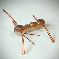 【限定商品】ドリフトボトム・蟲チューン