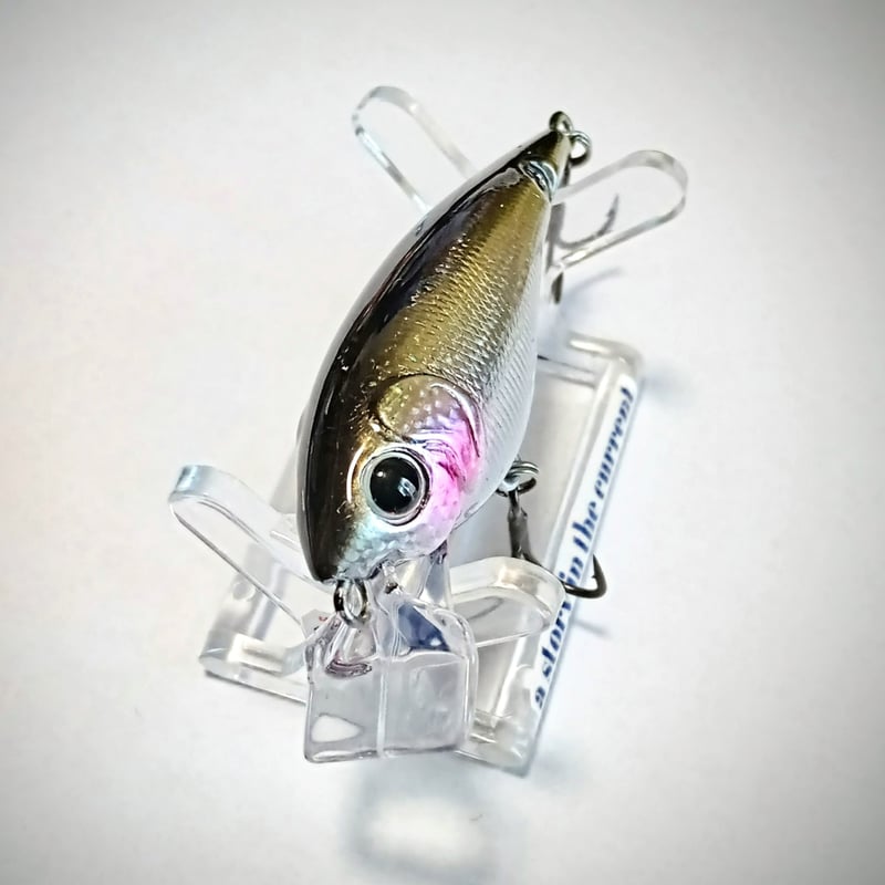 最終　smbd ドリフトシャッド　sp F F丸穴タイプ ドリフトCRNシャッド | SmBD net shop