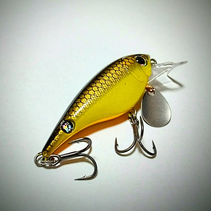 限定】ブレードチューン・ドリフトCRNシャッド | SmBD net shop