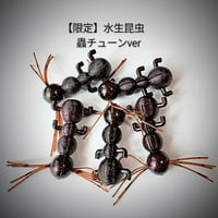 【限定 蟲チューン】ドリフトボトム『水生昆虫カラー』