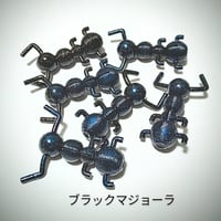【限定】ドリフトボトム『ブラックマジョーラ』