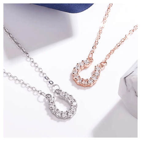 Horse shoes necklace【R0108】