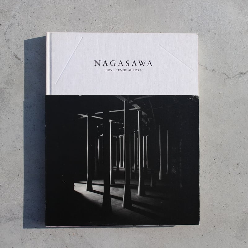 現代アート　長澤英俊　Hidetoshi Nagasawa  全作品集　彫刻 大人気新品 現代アート 長澤英俊 Hidetoshi Nagasawa 全作品集
