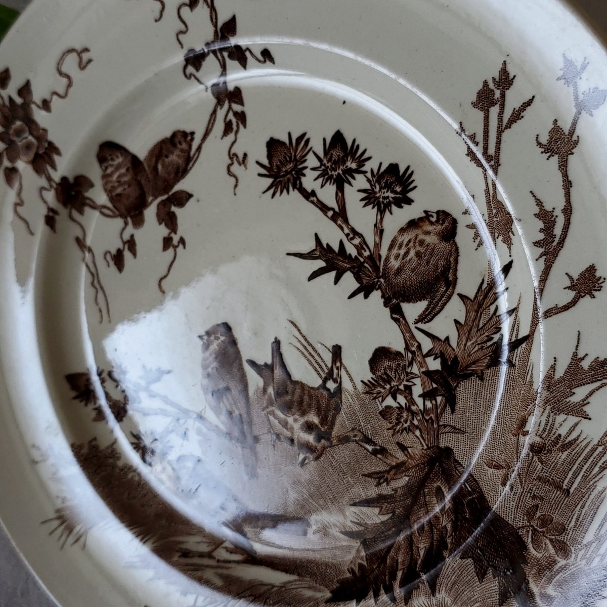 クレイユモントロー“Chardonneret”のデザートプレート | リボン