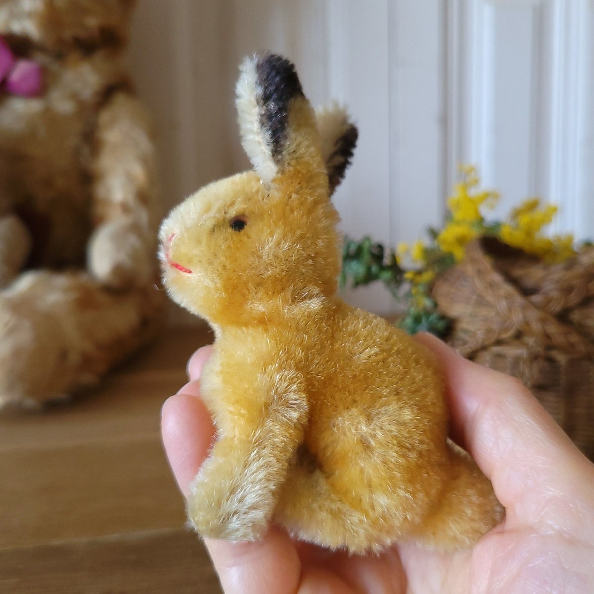 シュタイフ 小さいウサギ | リボンときどきネコ 