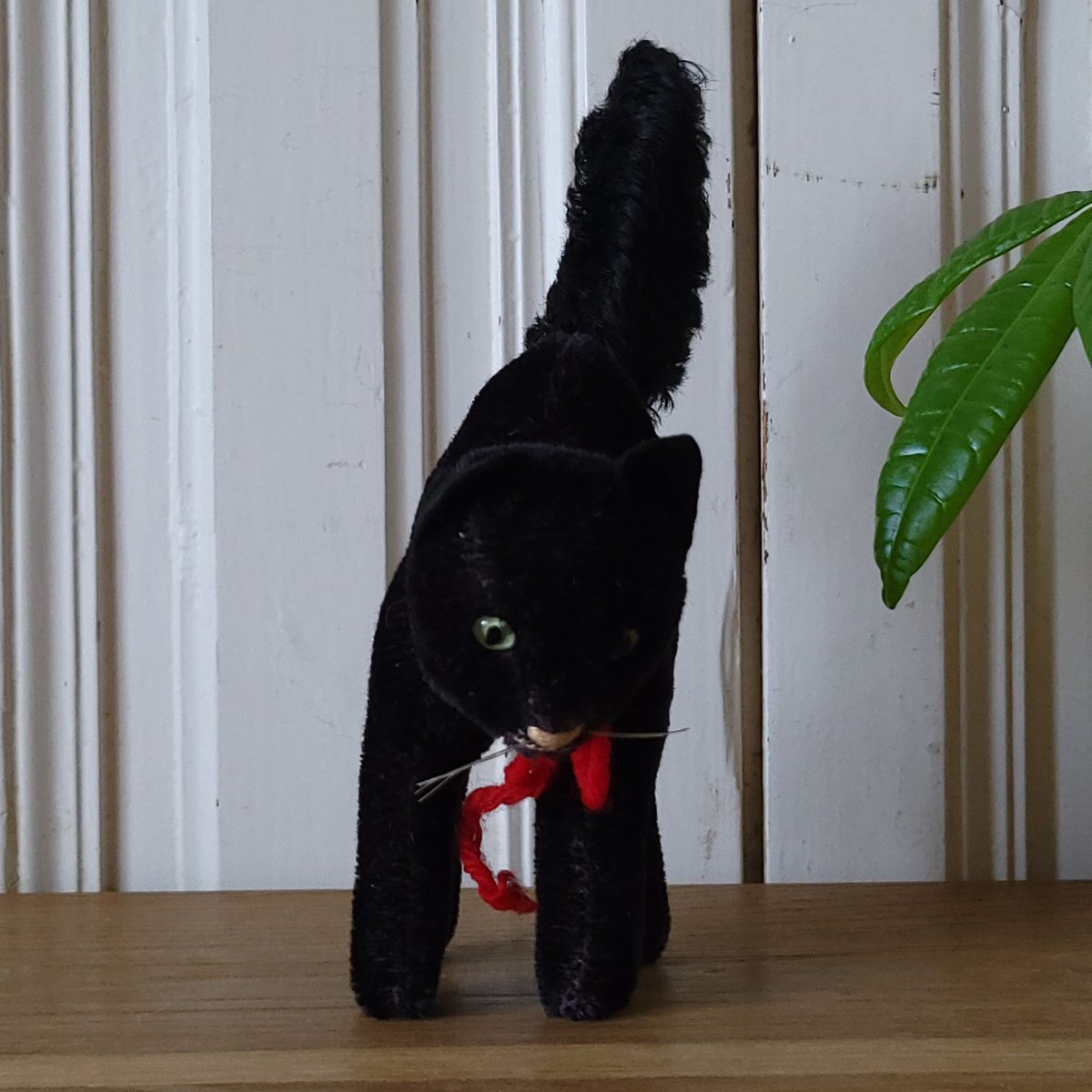 黒猫のトムキャット | リボンときどきネコ