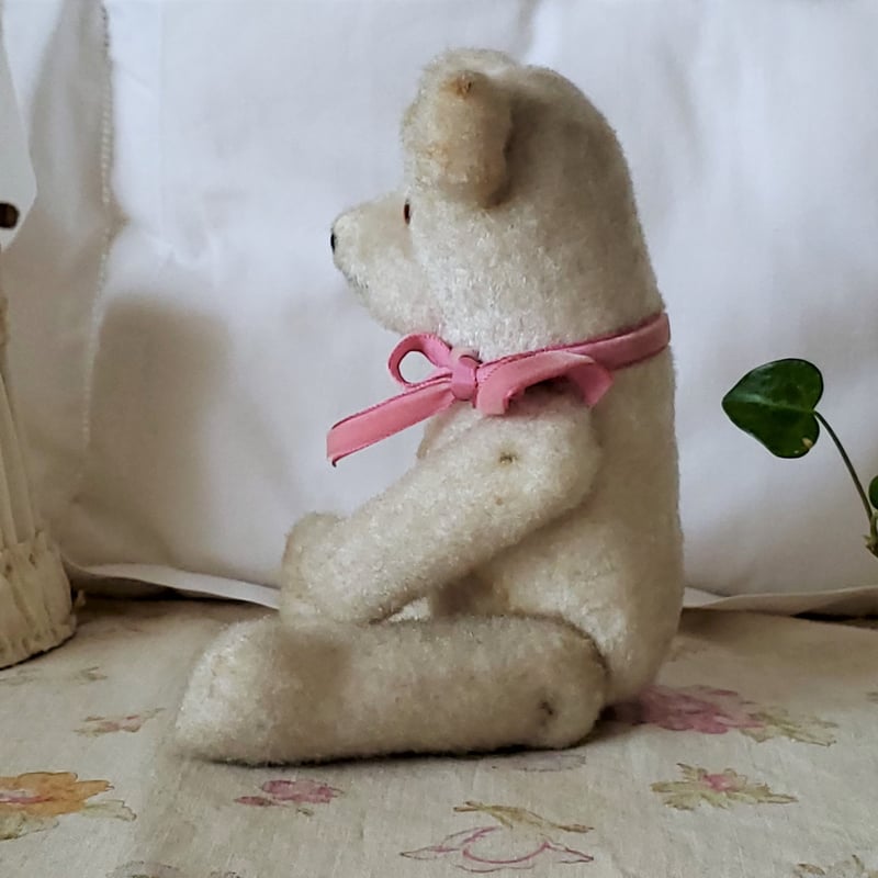 端正なお顔の白クマちゃん | リボンときどきネコ