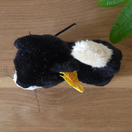 シュタイフ 黒猫