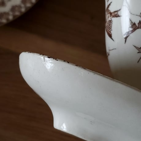 Choisy le Roi小鳥のソーシエール