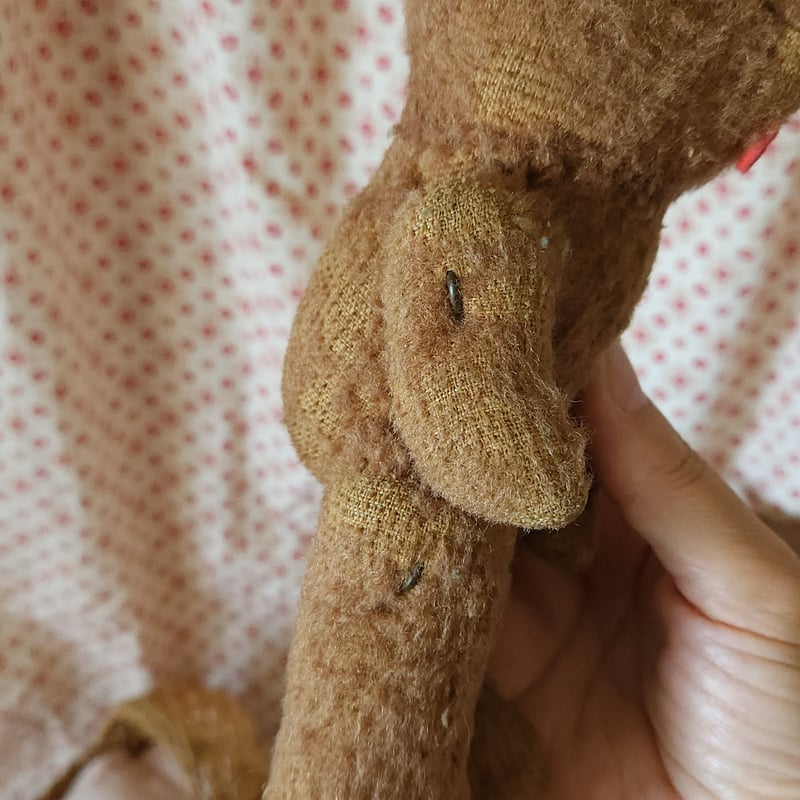 舌をしまい忘れたピーナッツベアちゃん | リボンときどきネコ